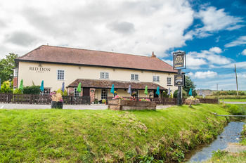 فندق The Red Lion Winfrith Newburgh المظهر الخارجي الصورة